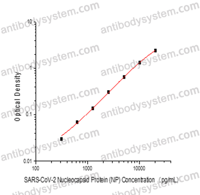 SARS-CoV-2 Nucleocapsid Protein (NP) ELISA Kit